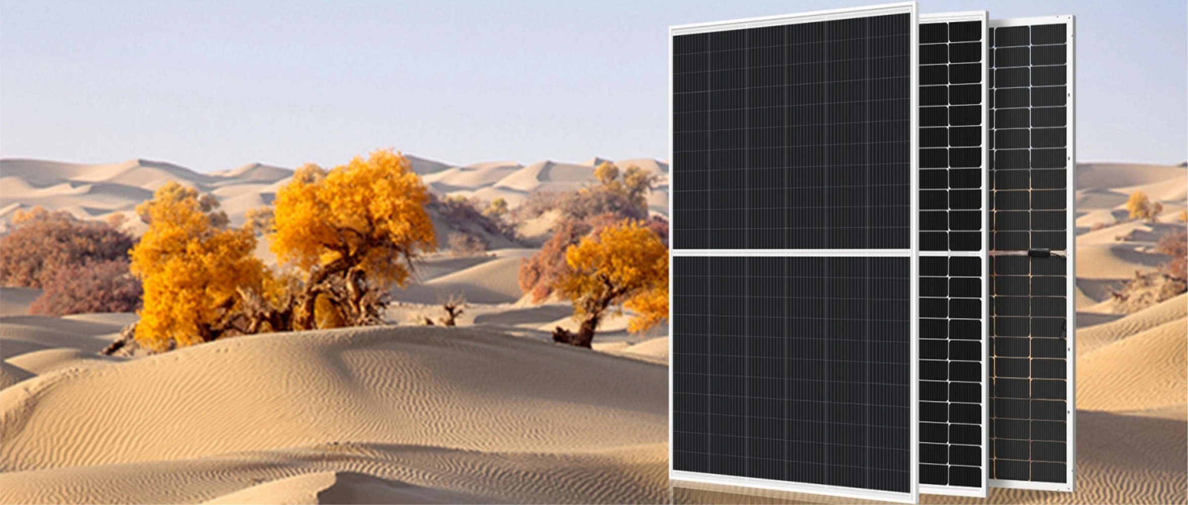 Designing The Future: Patented Full Black Solar Panels And Their Impact On Renewable Energy